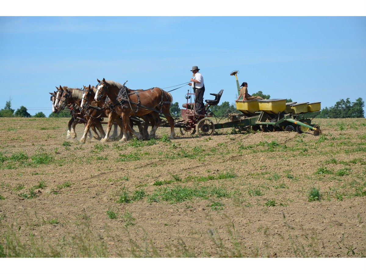 Verhalencafé Nieuwleusen: Jouk Huisman vertelt alles over de Amish en Staphorst